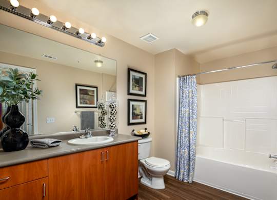Bathroom  at Ridgestone, Lake Elsinore, CA, 92532