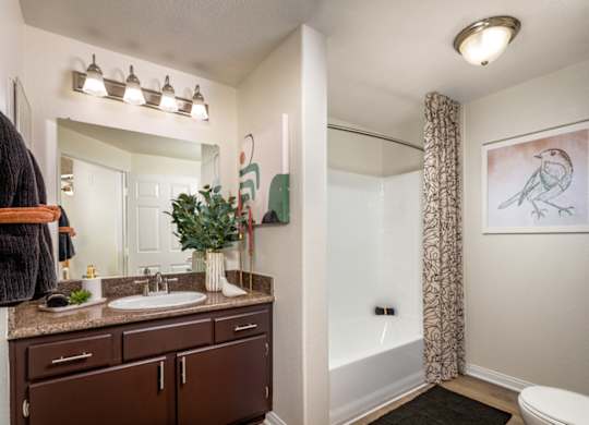 Bathroom at Tuscany Ridge Apartments