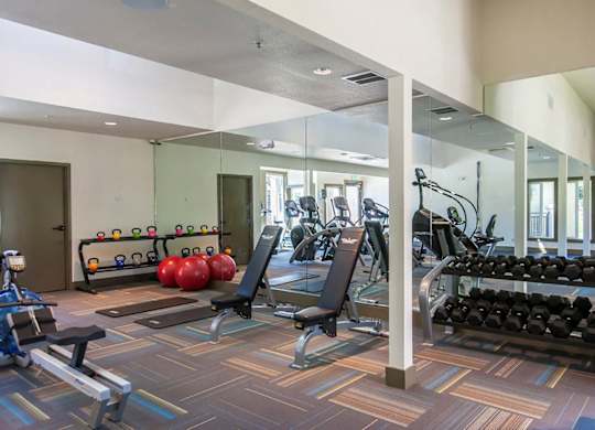 a gym with weights and cardio equipment in a building