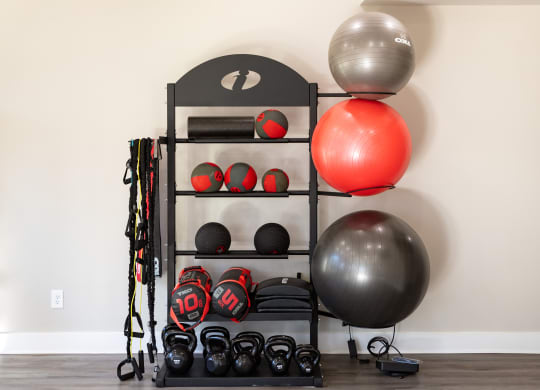 a workout room with two balls and a rack with weights and dumbbells