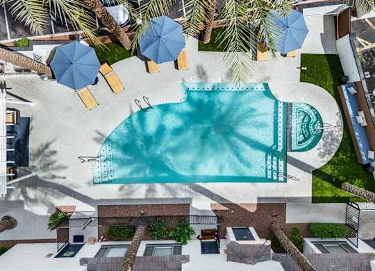 A swimming pool surrounded by palm trees and umbrellas.