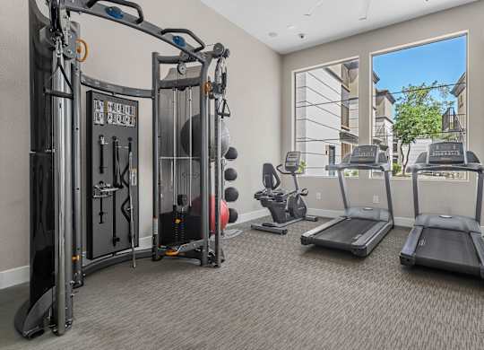 A well equipped gym with treadmills, weights and exercise machines.