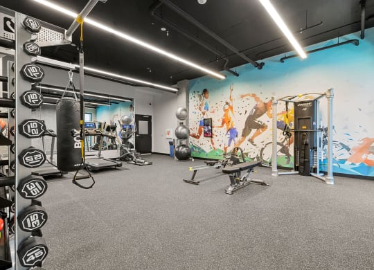 a large fitness room with a mural on the wall