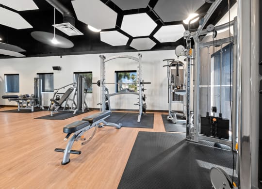 a fully equipped gym with free weights and other exercise equipment