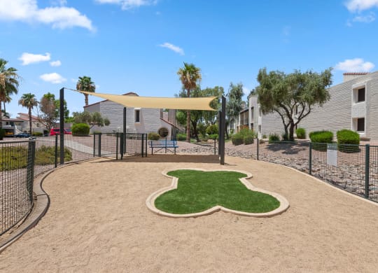 our apartments showcase a dog park with a kennel and agility course