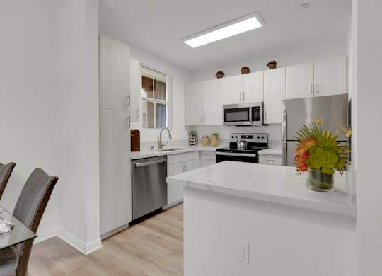 Kitchen at Legacy Apartment Homes, San Diego, CA