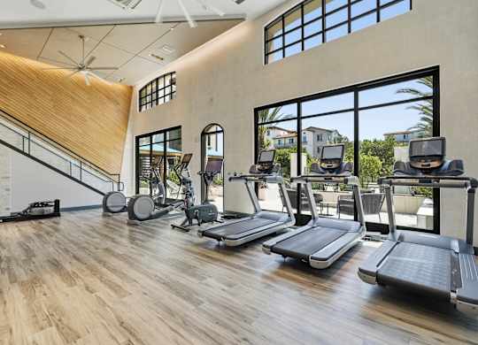 A gym with treadmills, weights and exercise equipment.