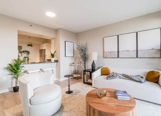 A living room with a white couch, a chair, a coffee table, and a plant.