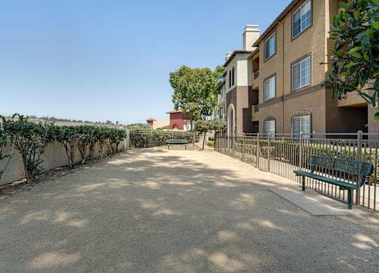 A sunny day at the courtyard of a residential building.