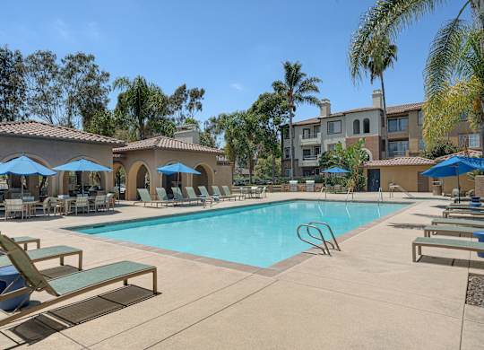 A swimming pool surrounded by sun loungers and umbrellas.