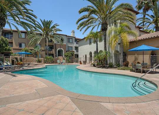 A swimming pool surrounded by palm trees and a building in the background.