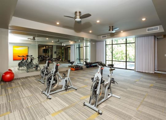 the gym in the condo has a lot of bikes and treadmills