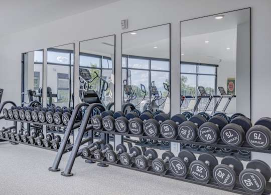 A gym with a row of dumbbells and a mirrored wall.