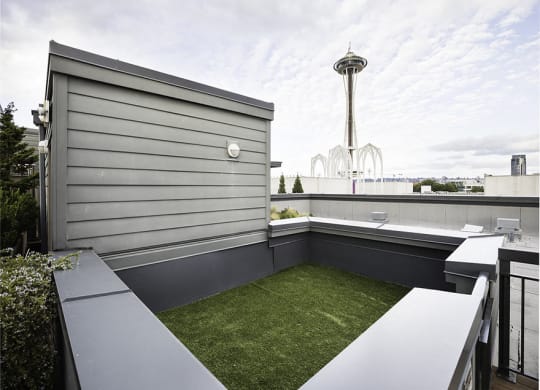 Rooftop grass area at Axis, Seattle, WA