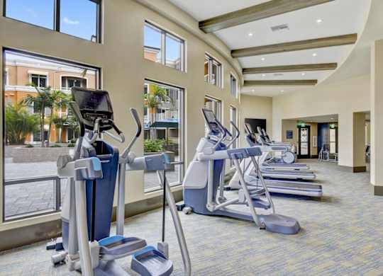 A gym with treadmills and exercise machines.