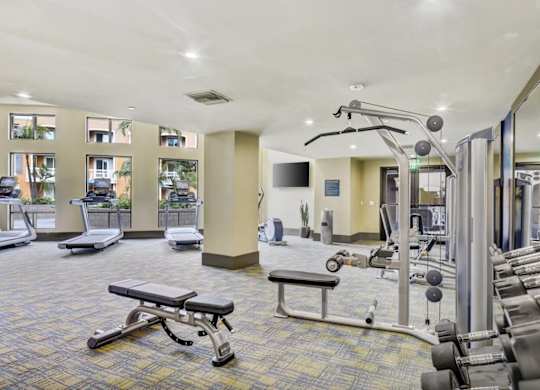 A gym with a variety of equipment including treadmills, weights, and a bench press.