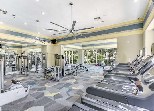 A gym with treadmills, elliptical machines, and a fan.