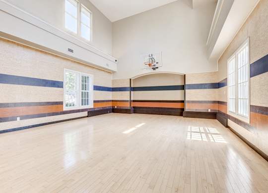 Basketball Court