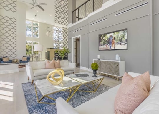 a living room with couches and a coffee table