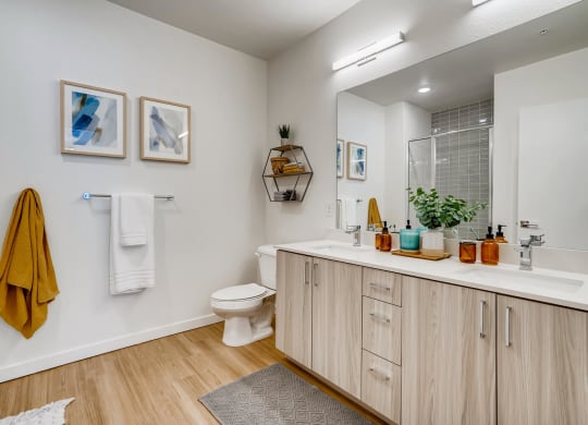 a bathroom with a toilet and a sink and a mirror