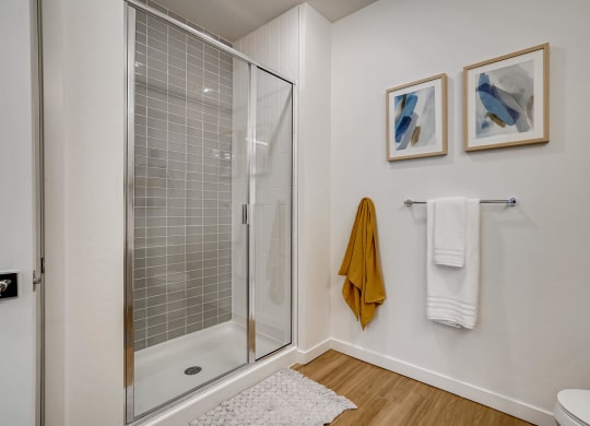 a bathroom with a shower and two pictures on the wall