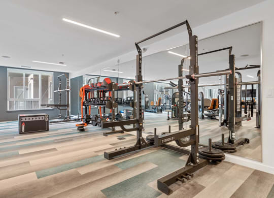fully equipped gym