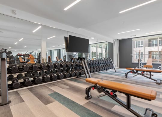 fully equipped gym