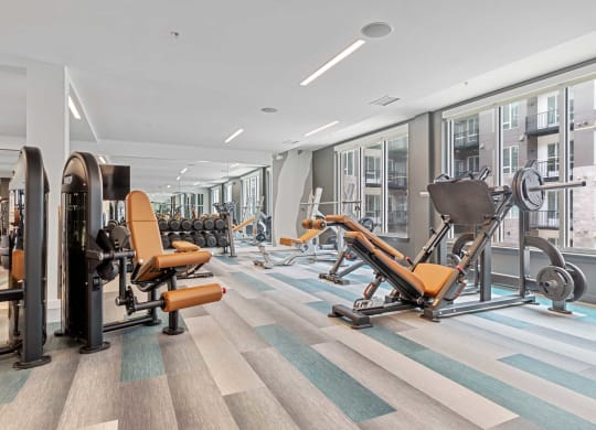 Fitness Gym