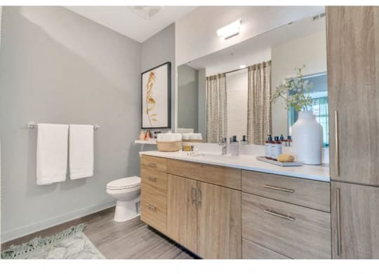 a bathroom with a sink and a toilet and a mirror