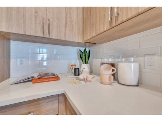 a kitchen counter with a coffee pot and a plant