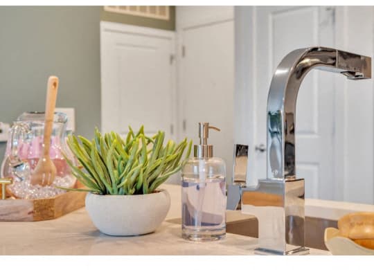 a kitchen counter with a sink and a plant