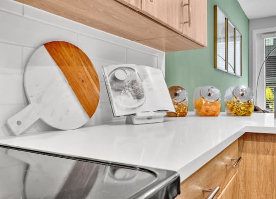 a kitchen with a sink and a toaster on the counter