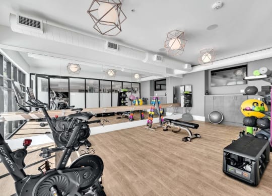 a gym with a lot of exercise equipment and mirrors