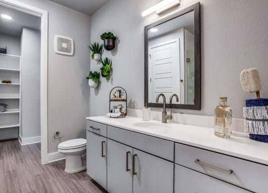 a bathroom with a sink and a mirror and a toilet