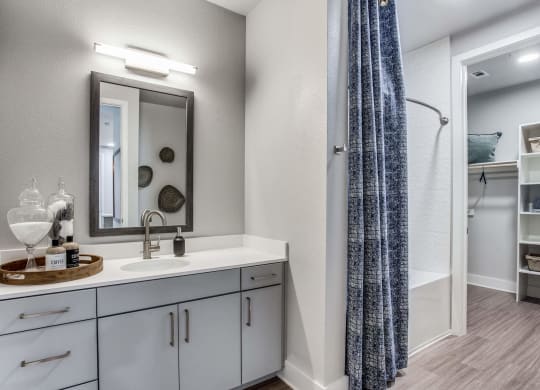 a bathroom with a shower and a sink and a mirror