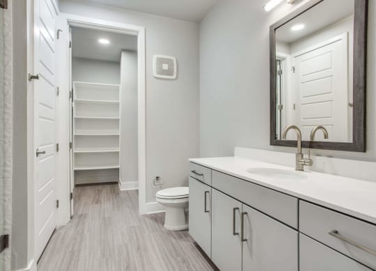 a bathroom with a toilet and a sink and a mirror