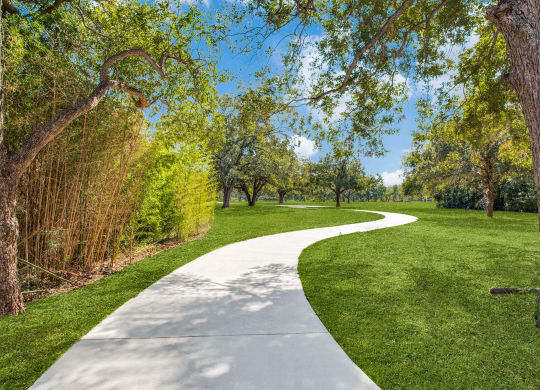 a concrete path through a park with grass and trees