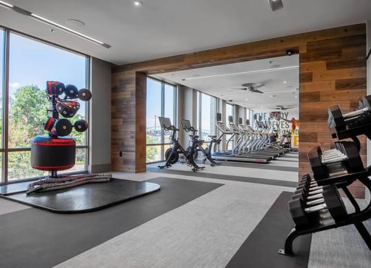 a gym with a row of exercise machines and windows