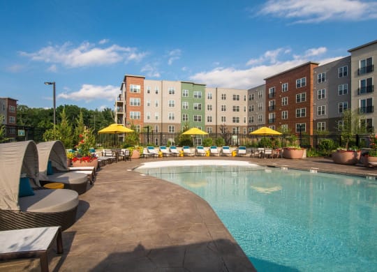 the swimming pool at the grove resort  spa