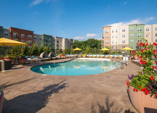 the swimming pool at the apartments for rent