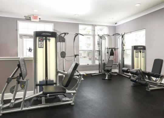 the gym is equipped with cardio equipment and weights