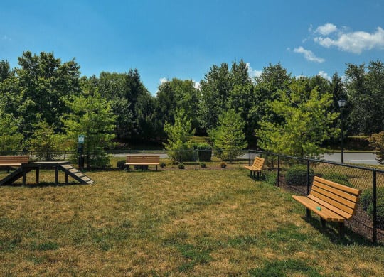 a park with benches and a picnic table