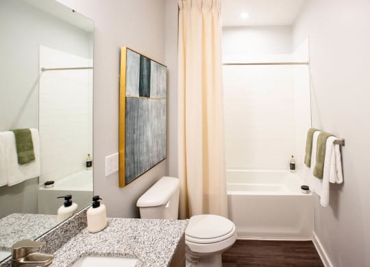 a bathroom with a shower toilet and sink and a mirror