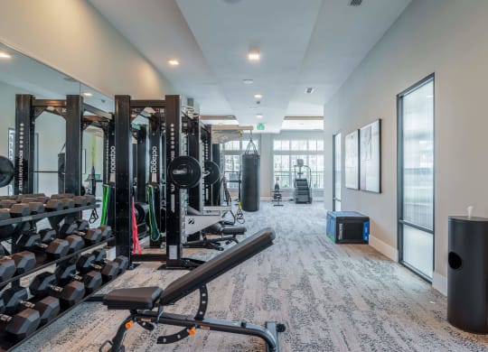 a gym with weights and other equipment in a building