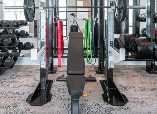 a gym with weights and cardio equipment in a home gym