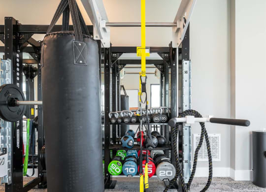 the home gym has a punching bag in the corner