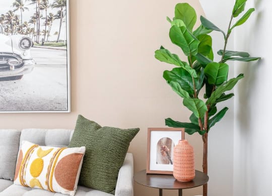 a living room with a couch and a potted plant