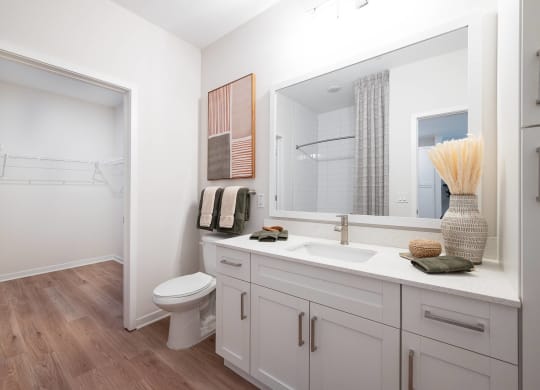 a bathroom with a large mirror and a toilet