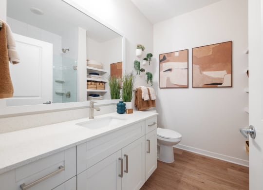 a bathroom with a sink and a toilet and a mirror