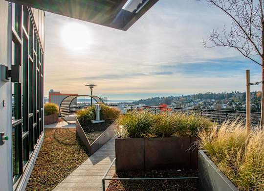 A sunny day on a rooftop terrace with a view of the city.at Axle, Seattle Washington 